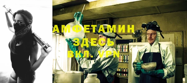 мдпв Богородск
