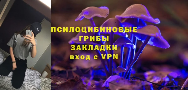 марки lsd Богородицк
