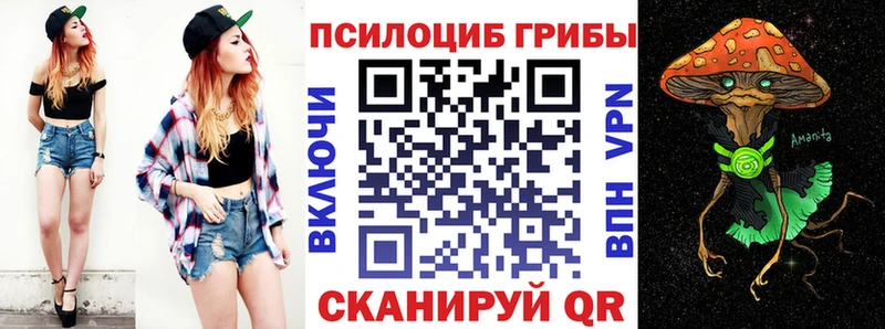 закладки  Великий Устюг  Галлюциногенные грибы GOLDEN TEACHER 