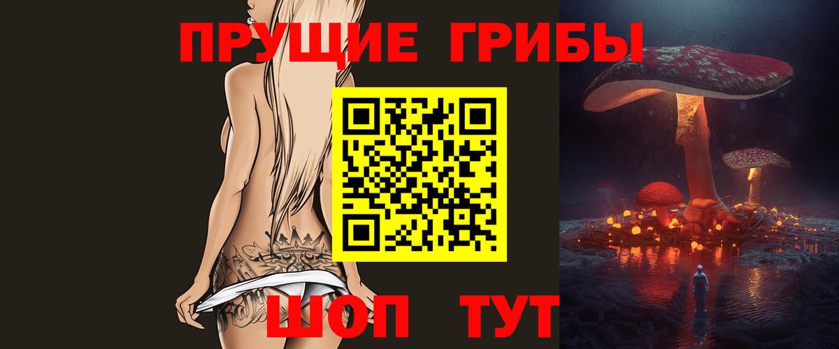 Галлюциногенные грибы Psilocybine cubensis Великий Устюг