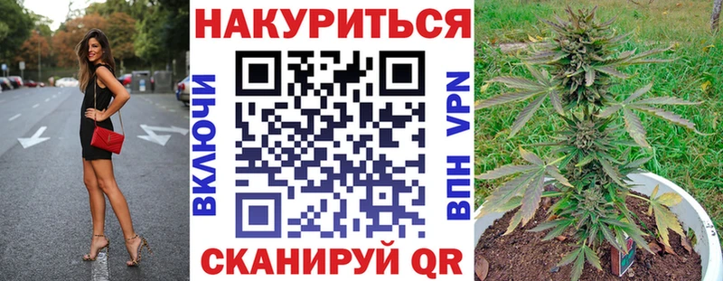 Канабис план  наркотики  omg онион  Великий Устюг 